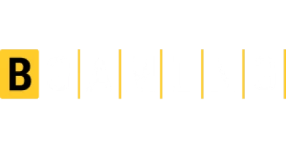 partners who work with 101z