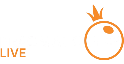 partners who work with 101z